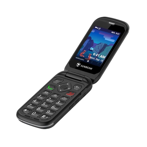 Sunbeam F1 Pro