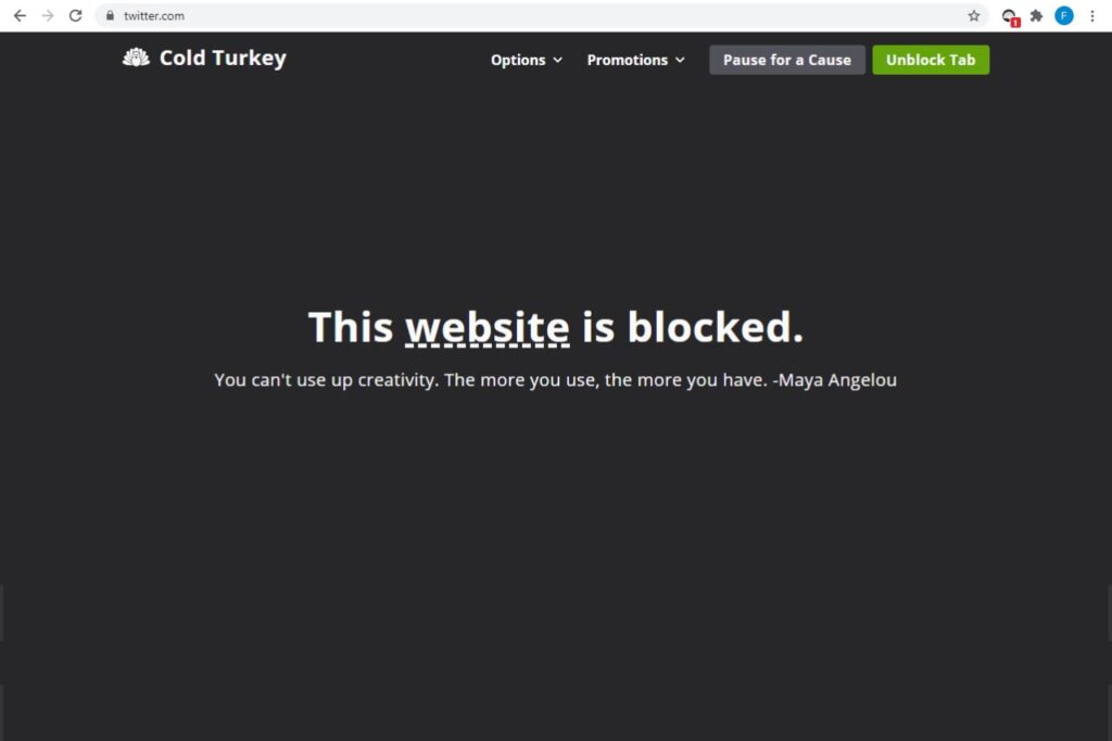 Cold Turkey Blocker