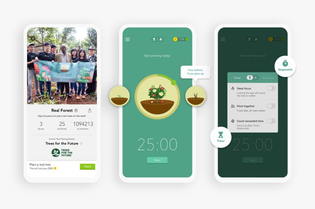 Forest Focus for Productivity