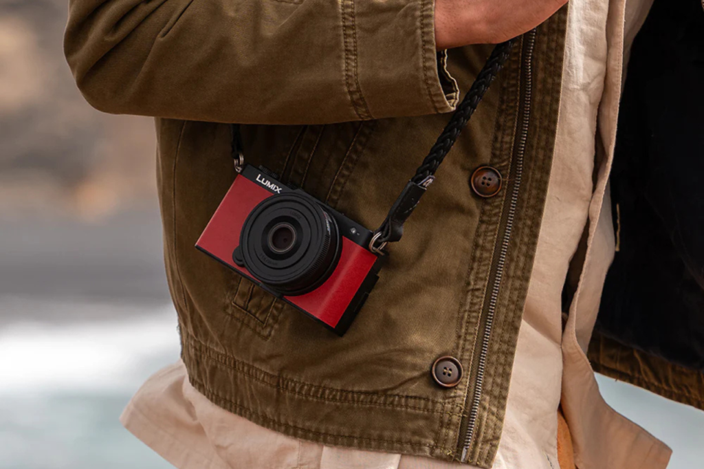 10. Panasonic Lumix S9